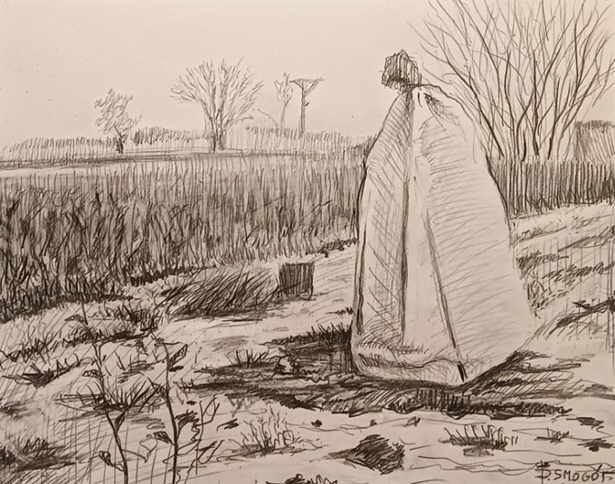 zimowa_okrywa - Piotr Smogór