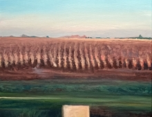 october_2019 - Piotr Smogór