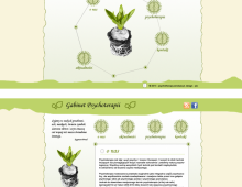 Gabinet Psychoterapii, wersja nr 2, layout strony www