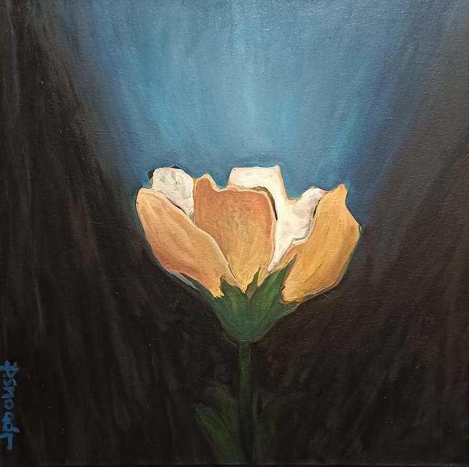 światłość - Piotr Smogór