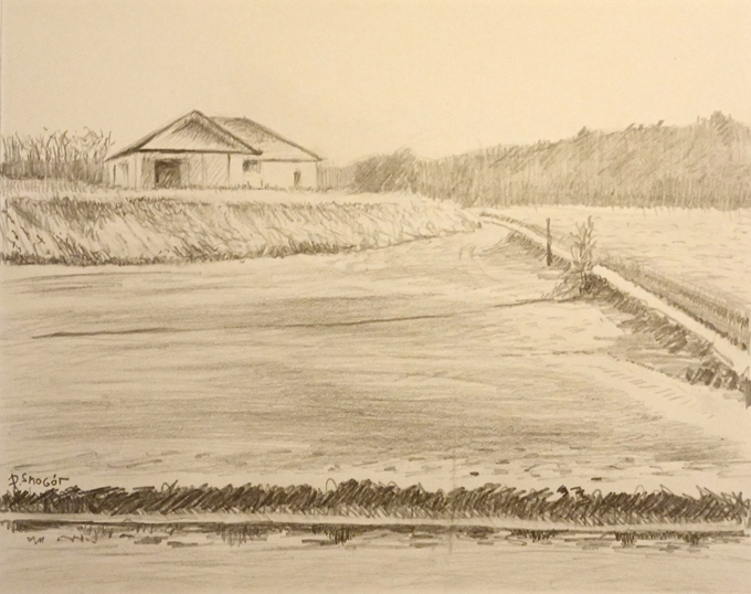 w lekkich roztopach - Piotr Smogór